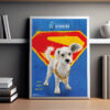 Superman Dog Poster 3
