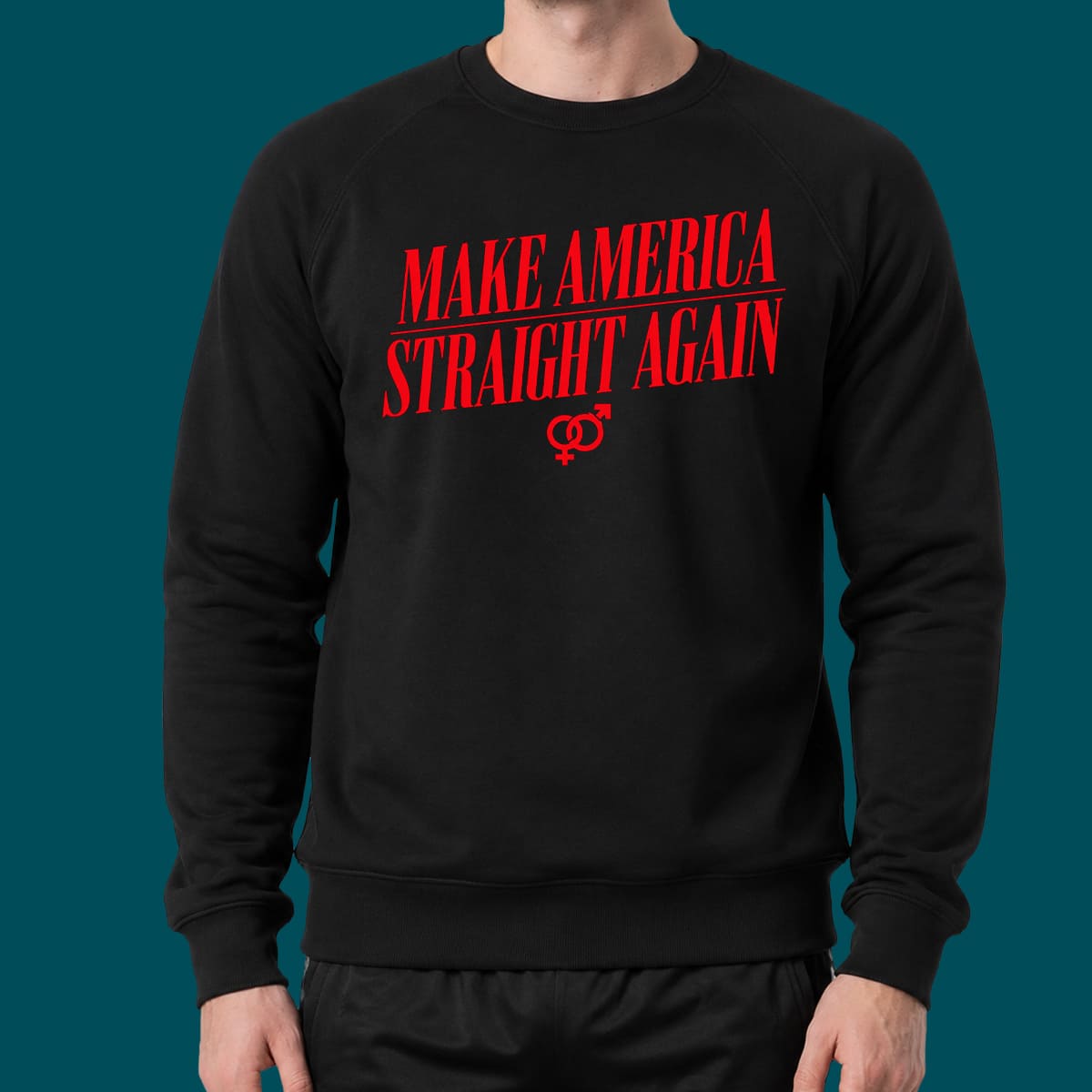 Make America Straight Again Make America Straight Again
