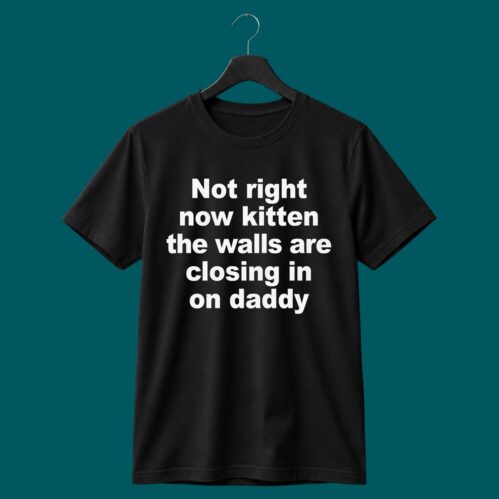 Not Right Now Kitten The Walls Are Closing In On Daddy T-shirt